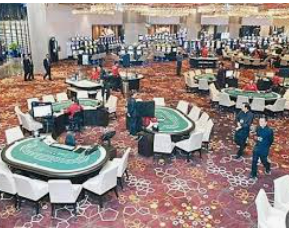 星空体彩app2024最新版